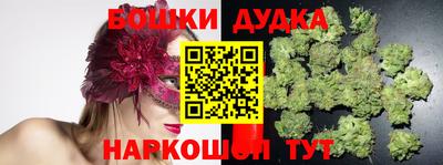 индика Ливны