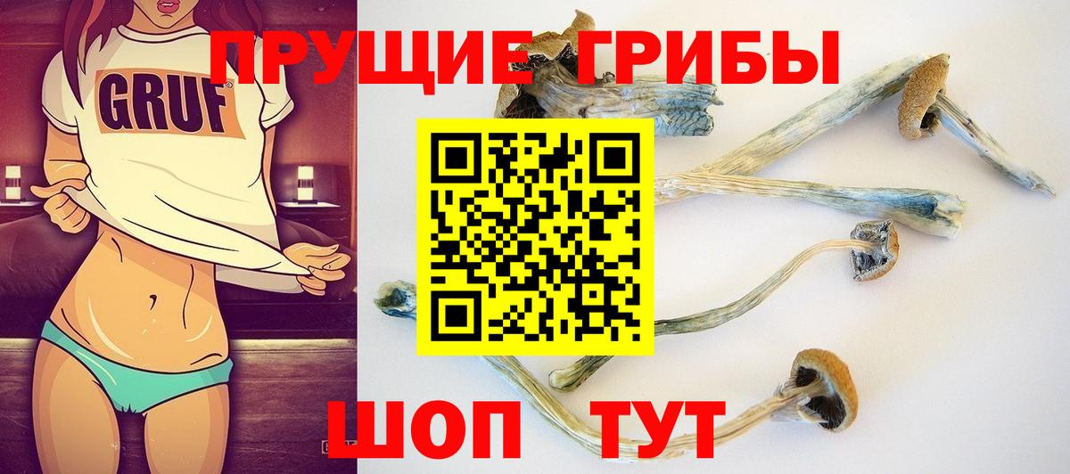 Псилоцибиновые грибы GOLDEN TEACHER  Галлюциногенные грибы Psilocybine cubensis  Ухта  дарнет шоп  Вход с VPN 